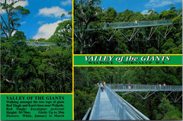 (2 P 15) Australia - WA - Walpole - Giant Tree Valley (with Bird Stamp) - Andere & Zonder Classificatie