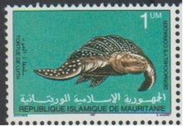 Mauritanie Mauritania - 1982 - 501 / 502 / 503 - Tortues - MNH - Mauritanie (1960-...)