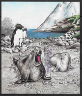 Chile 2000 MiNr. (Block 47)  South Pole  Antarctic Wildlife, Marine Mammals, Southern Elephant Seal S/sh  MNH** 20.00 € - Antarctic Wildlife