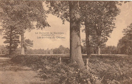 Bokrijk : Le Domaine De Bockrijck ( Hasselt ) / Les Environs Du Château - Genk