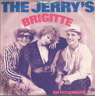 * 7" *  THE JERRY'S - BRIGITTE (Holland 1979) - Other - Dutch Music