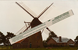 Kaulille : Molen ( Foto) - Bocholt