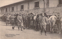 MILITARIA - Camp D'Elsenborn - Pansage -  Carte Postale Ancienne - Barracks