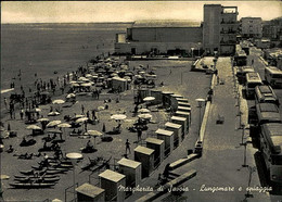 MARGHERITA DI SAVOIA ( BARLETTA ) LUNGOMARE E SPIAGGIA - EDIZ. FOTOCELERE - SPEDITA 1962 (14805) - Barletta