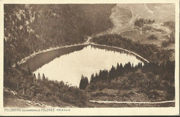 Delcampe - AK  DE FELDBERG - Feldberg
