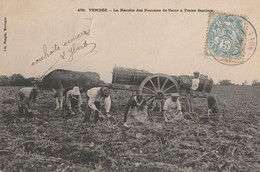 VENDEE. - La Récolte Des Pommes Des Pommes De Terre à Treize Septiers.  Carte Très RARE - Cultures