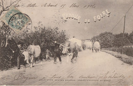 LA MOTHE-ACHARD. - Retour De Foire. - Lucien Amiaud Sables D'Olonne N° 2067. Carte RARE - La Mothe Achard