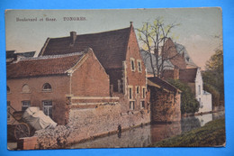 Tongres: Boulevard Et Geer Avec Attelage Et En Couleurs. Rare - Tongeren