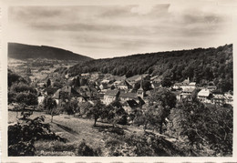 SUISSE,HELVETIA,SWISS,SWITZERLAND,SCHWEIZ,SVIZZERA,VAUD,ROMAINMOTIER,CARTE PHOTO ALLEGRINI DE ORBE,RARE - Orbe