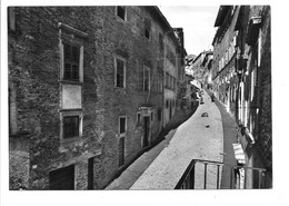 Urbino. - Urbino