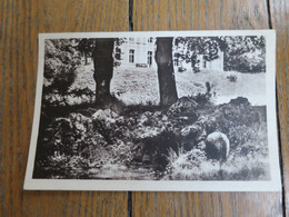 COURTOZE (41) Un Joli Coin Du Chateau - Autres & Non Classés