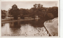 LUTON - THE LAKE, WARDOWN PARK - Sonstige & Ohne Zuordnung