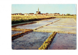 Cpm - 44 -  Bourgneuf-en-Retz - Les Marais Salants - Artaud 14 - Bourgneuf-en-Retz