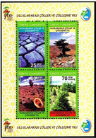 Turkey, Türkei - 2006 - Year Of Deserts And Desertification - 1.Mini S/Sheet ** MNH - Neufs