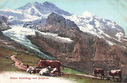 Klein Scheidegg Und Jungfrau Kuhe Troupeau De Vaches Wengen - Wengen