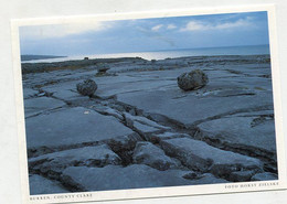 AK 121937 IRELAND - Burren - Clare