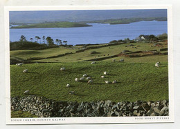 AK 121955 IRELAND - Lough Corrib - Galway