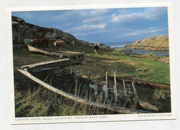 AK 121969 IRELAND - Beara Halbinsel - Garnish Point - Cork