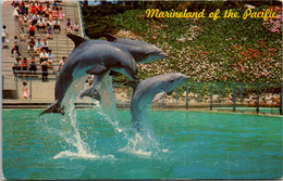 Dolphins Leaping Dolphin Trio Marineland Of The Pacific California - Dauphins