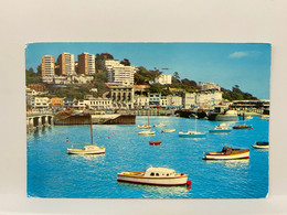 Harbour, Torquay, Devon, Used 1981 Postcard Photo Precision Ltd - Torquay