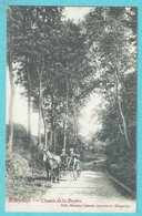 * Ellezelles (Hainaut - La Wallonie) * (Edit Moreau Lietard, Imprimeur) Chemin De La Bryère, Cheval, Horse, Koets - Ellezelles