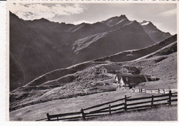 GUARDA ALP SURA - Guarda