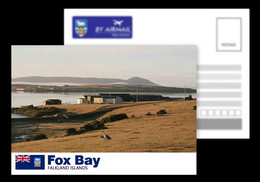 Falkland Islands / Fox Bay / Antarctica / Postcard / View Card - Isole Falkland