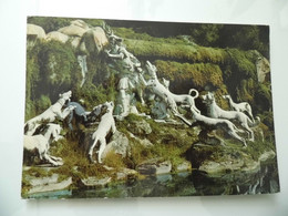 Cartolina Viaggiata "CASERTA Parco Reale - Particolare Di Atteone" 1969 - Caserta