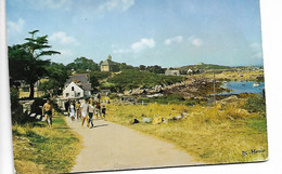 LES ILES CHAUSSEY -  GRANDE ILE VUE DE L HOTEL DU FORT VERS 1970 N°495 ANIMATION - Autres & Non Classés