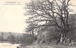 [-30%] FRANCE - 61 - PONT ECREPIN - Le Vieux Chêne De La Rotoure - Carte Postale Ancienne - Pont Ecrepin