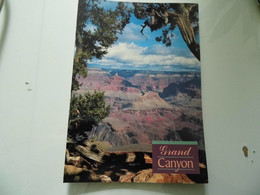 Cartolina Viaggiata "GRAND CANYON" 1997 - Grand Canyon