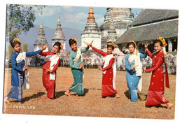 Thailande --Northern Thailand  Chiegmai --Fawn Leb --animée - Tailandia