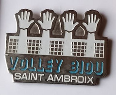 XX319 Pin's Volleyball Volley BIOU Saint Ambroix GARD Achat Immédiat - Volleyball