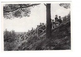 Amberloup Sainte Ode Sentier Conduisant à L'Etablissement Fondation Louis Empain - Sainte-Ode