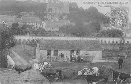 CPA 78 ROCHEFORT EN YVELINES / VUE PARTIELLE / VACHE / FERME - Sonstige & Ohne Zuordnung