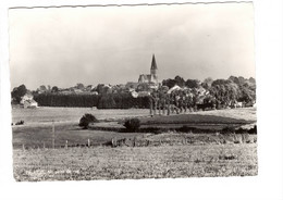 Paliseul Un Point De Vue - Paliseul