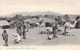 EGYPTE - Assuan - Bisharin Camp - LL - Dromadaire - Carte Postale Ancienne - Asuán