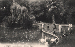 Luçon - Jardin Dumaine - L'ile Aux Cygnes - Lucon