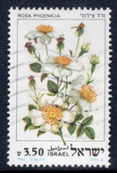 Israel 1981 Single Stamp From The Set Celebrating Roses In Fine Used - Usati (senza Tab)