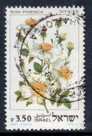 Israel 1981 Single Stamp From The Set Celebrating Roses In Fine Used - Gebruikt (zonder Tabs)