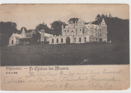 Pepinster - Le Château Des Mazures - Pepinster