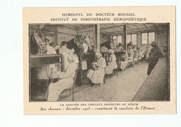 Hemostyl Du Docteur Roussel-la Saignée - Santé