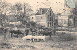 CPA 92 FONTENAY AUX ROSES / UNE FERME / COCHON / VACHE - Fontenay Aux Roses