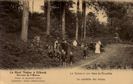 Dilbeek  - Le Mont Thabor - Dans La Petite Suisse- Section De Garçonnets Débiles - Animé - Dilbeek