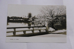 Hiroshima - Spring In Nara - Hiroshima