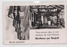 F 67230 WESTHOUSE, Cafe Moineau, Rue Des Agriculteurs - Benfeld