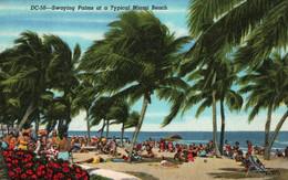 Miami Beach - Swaying Palms - Miami