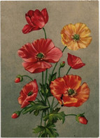 Poppies, Soviet Russia USSR 1956 40Kop Stamped Postal Stationery Card Postcard. Used In Tallinn Estonia - 1950-59