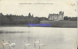 18 - Vouzeron - Le Château, L'Etang Et Les Cygnes - Vouzeron