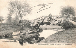 WILLEBROECK - Château De Naeyer - Un Coin Du Parc - Carte Circulé En 1903 Vers Bonsecours - Willebroek